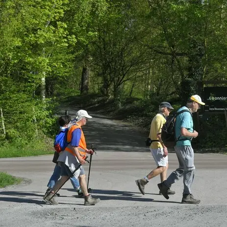 Balade naturaliste : 