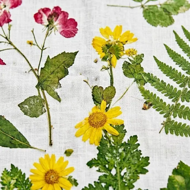 Atelier tataki zomé pour enfants et adultes !_1