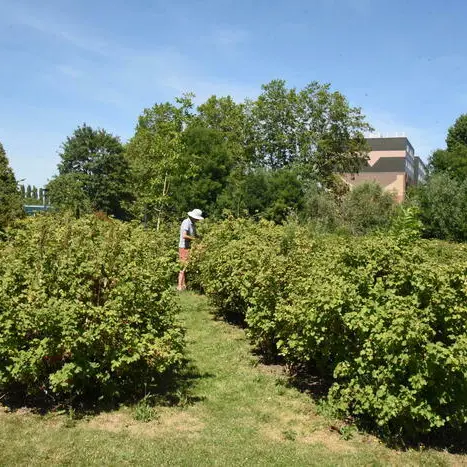 Balade immersive dans la gestion d’une ville nature et nourricière_1