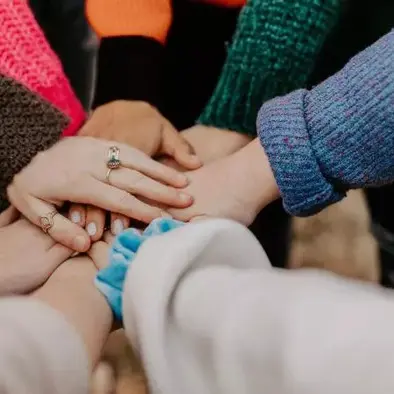 Cigales cherchent fourmis_1