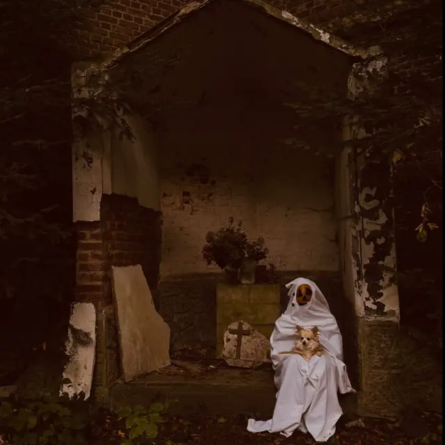 Shooting photo avec son chien pour fêter Halloween !_1