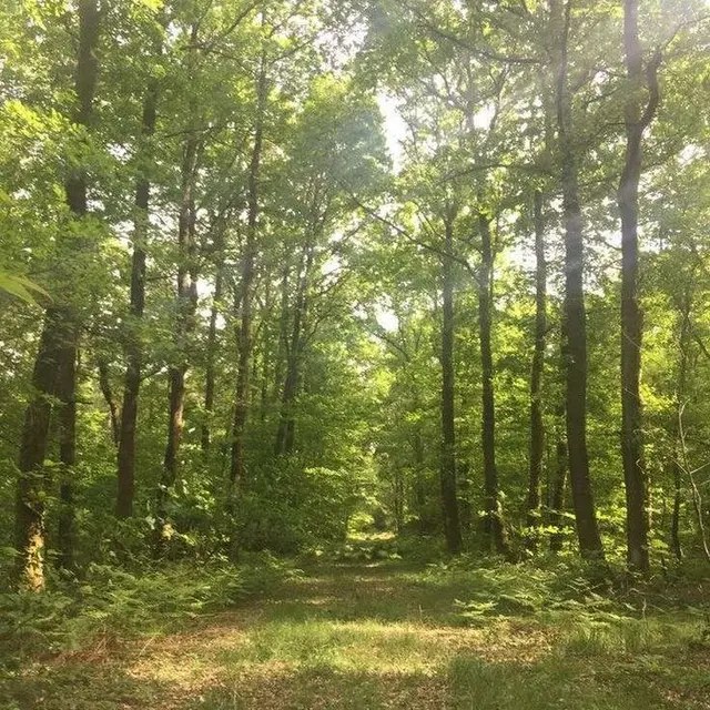 Conférence — Entreprises & Biodiversité : s'engager et agir_1