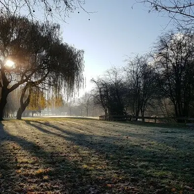 Samedi, ça me dit - C'est beau une ville sans déchets_1