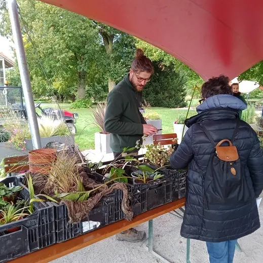 Troc Plantes_1