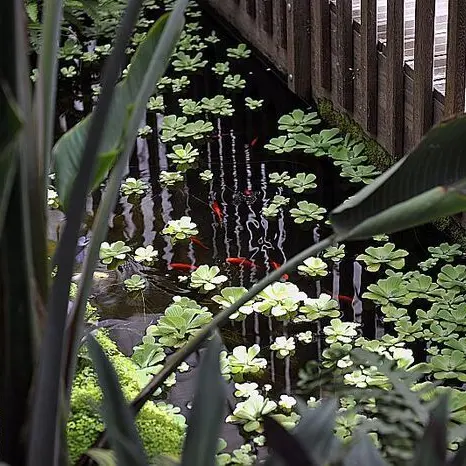 Les serres du jardin botanique_1