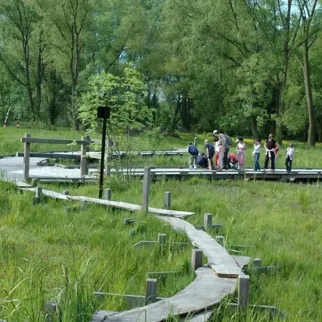 Balade naturaliste : Les secrets du marais au crépuscule_1