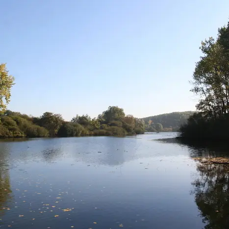 Dimanche festif : Hé eau ! Le voyage de l’eau_1