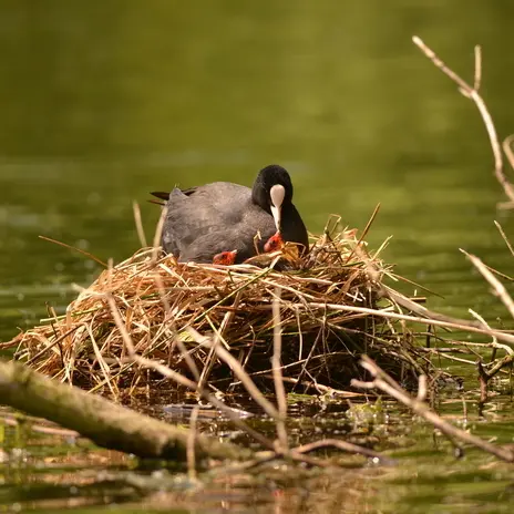 La palette de l'artiste_1