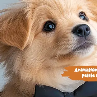 fete-animaux-valenciennes-agenda-valenciennes-tourisme