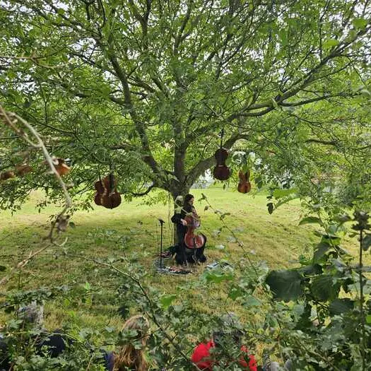 Pause nature au fil de l'eau : balades musicales_1