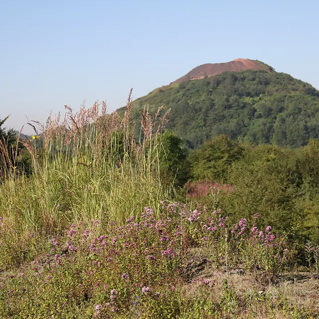 67.terrils-des-falandes-28.08_1