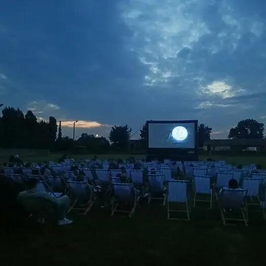 Ciné de plein air : artistes en herbe !_1