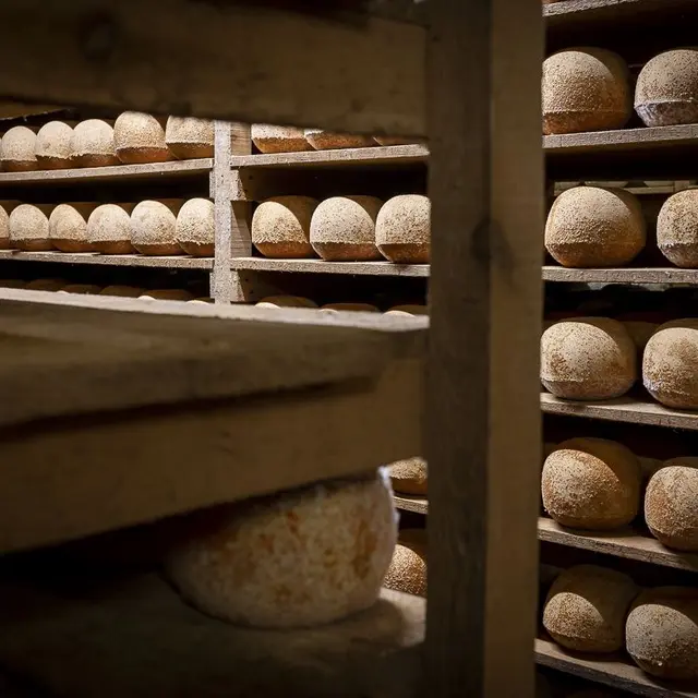 Visite guidée de la maison César Losfeld_1