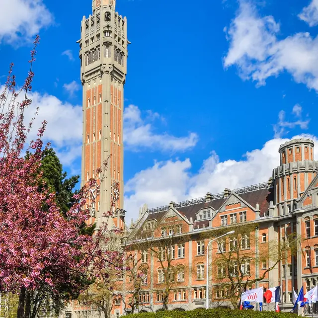 Portes ouvertes à l'Hôtel de Ville : Focus sur les jeunes publics_1