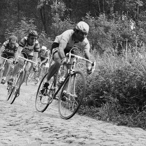 Le Tour, Hinault et le Nord_1