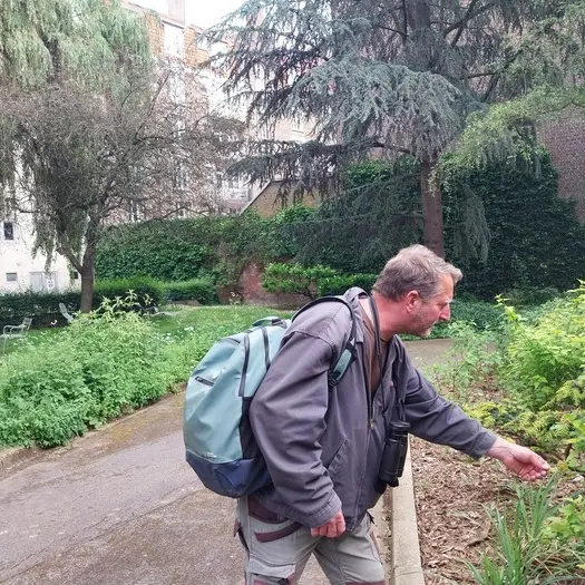Balade nature / votre quartier en été_1