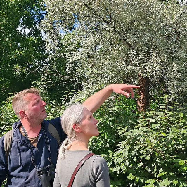 Balade Nature - Notre région en hiver / Citadelle_1