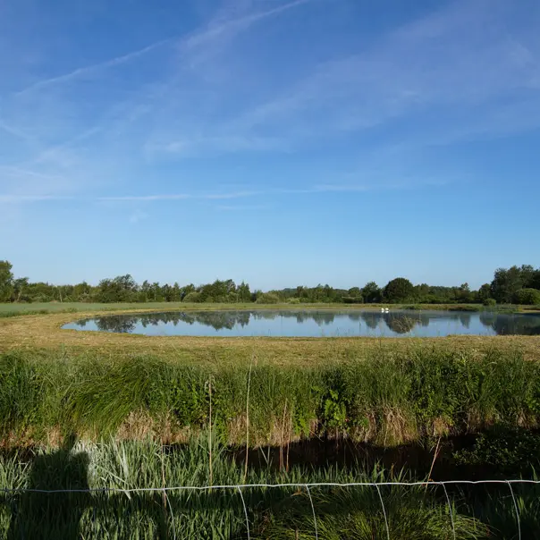 Marais de Sacy