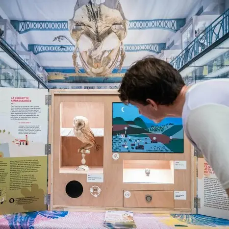 Mini Muséum de quartier : escale au Tire-Laine !_1