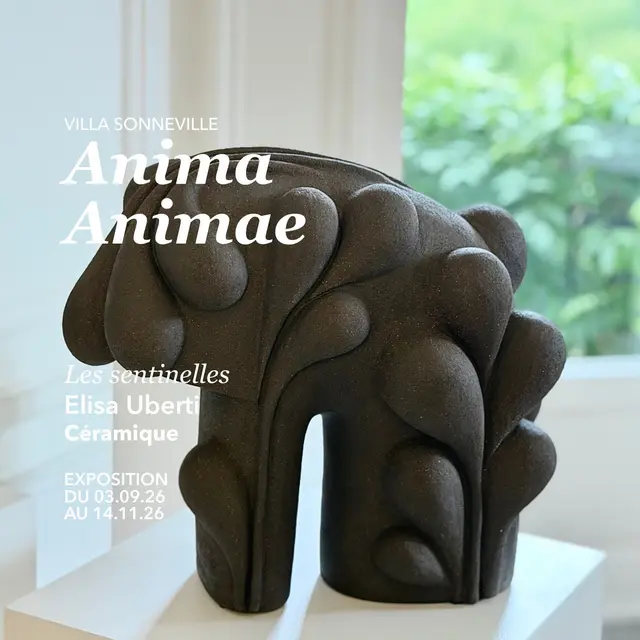 Anima, Animae_1