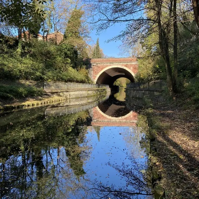 Balade naturaliste : les richesses de la branche de Tourcoing_1