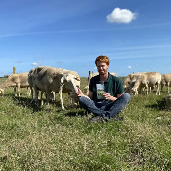 Brebis Ferme-de-l-haezepoel-hondschoote-m-decramer-1-13006