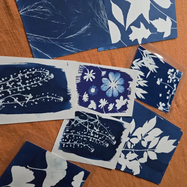 800x600_image-cyanotype-13164