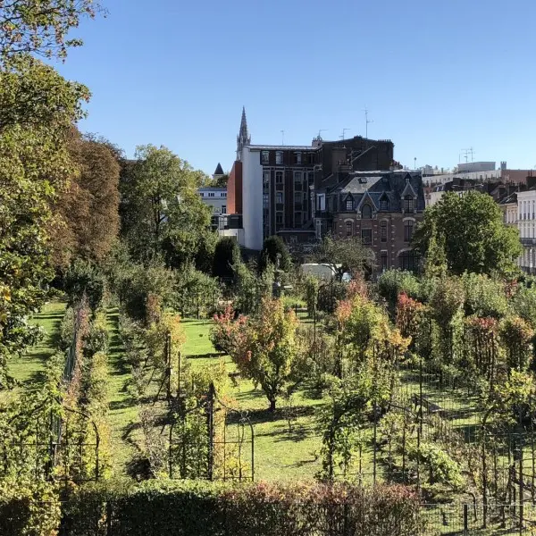 jardin-arboriculture-fruitiere-lille