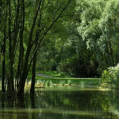 Balade naturaliste : le musée de la nature_1