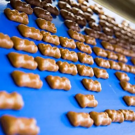 Cémoi ou la naissance du véritable petit ourson guimauve_1