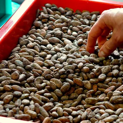 Le Hill Bar Lab - Villeneuve d'Ascq_1