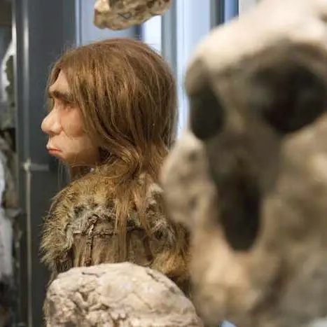 Les petits labos du Musée - Enquête Néandertal  / Fabrique du Sud_1