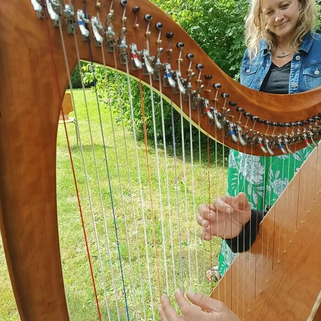 Édition spéciale « Bicentenaire » : sieste musicale à la harpe à l'EPSM de l'agglomération lilloise - GHT Psy NPdC_1