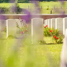 Visite Guidée Découverte de la Flore du Cimetière militaire de Pheasant Wood_1