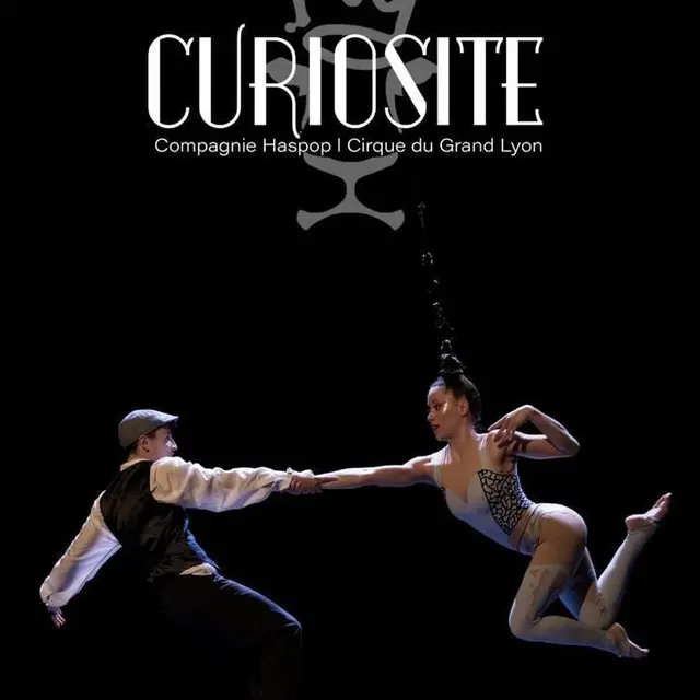 Curiosité_1