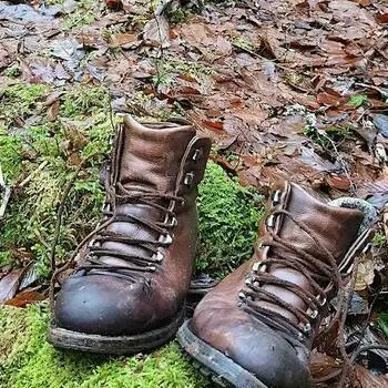 Une Marche du Temps Profond à Villeneuve d'Ascq_1