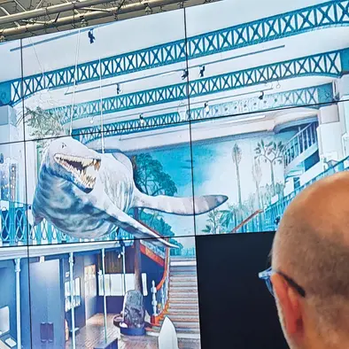 Visite virtuelle du Musée d’Histoire Naturelle / Musée numérique MFM_1