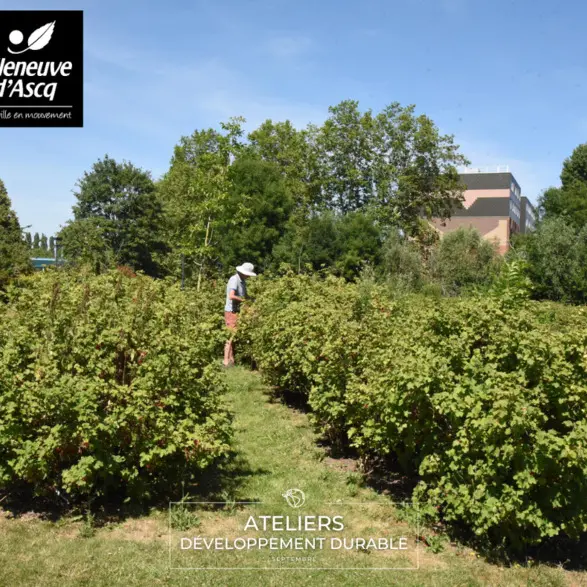 Balade immersive dans la gestion d’une ville nature et nourricière_1