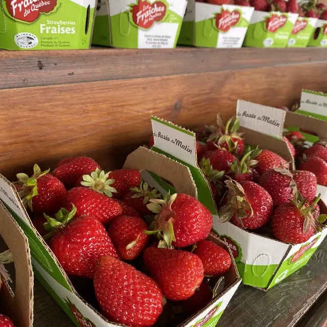 Fraises