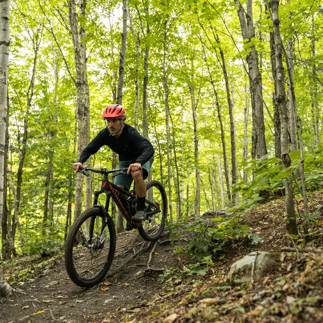 Vélo en forêt