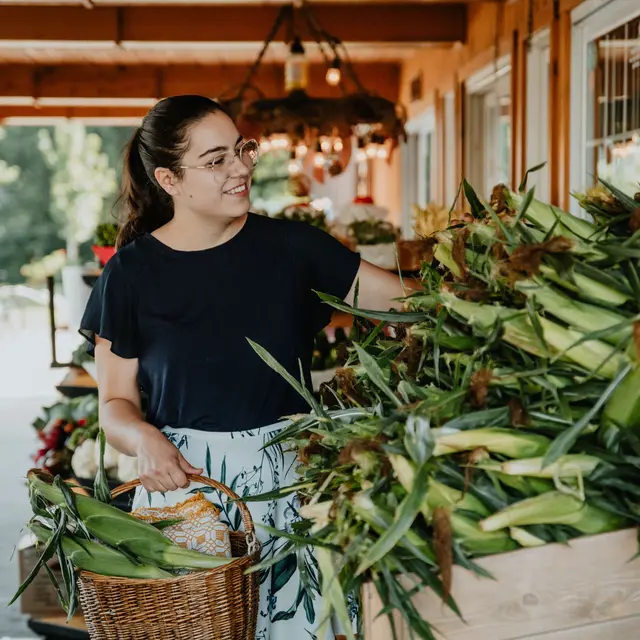 Maïs en saison