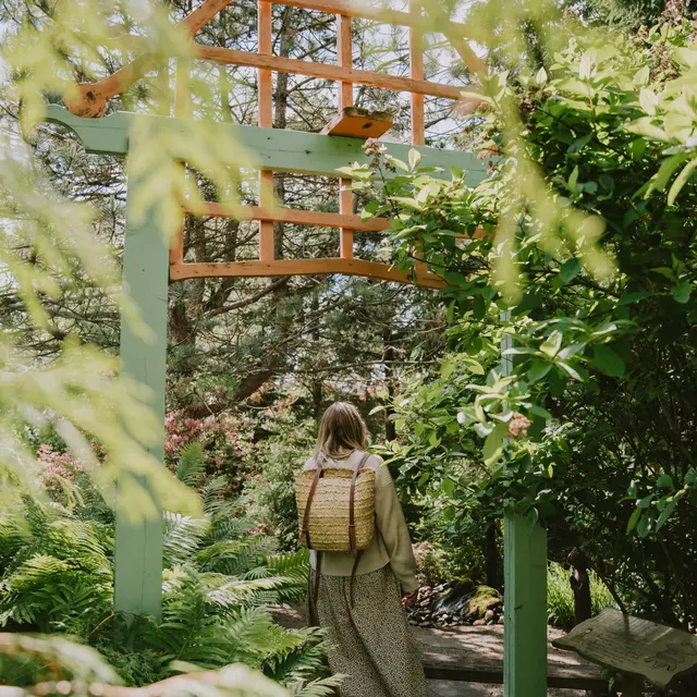 Jardin japonais