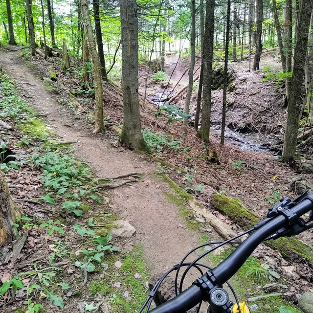 Vélo de montagne MSG