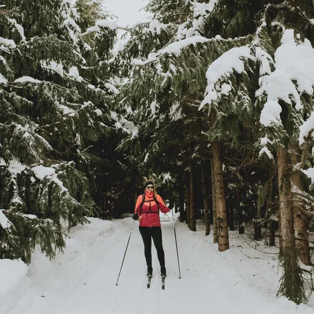 Ski de fond