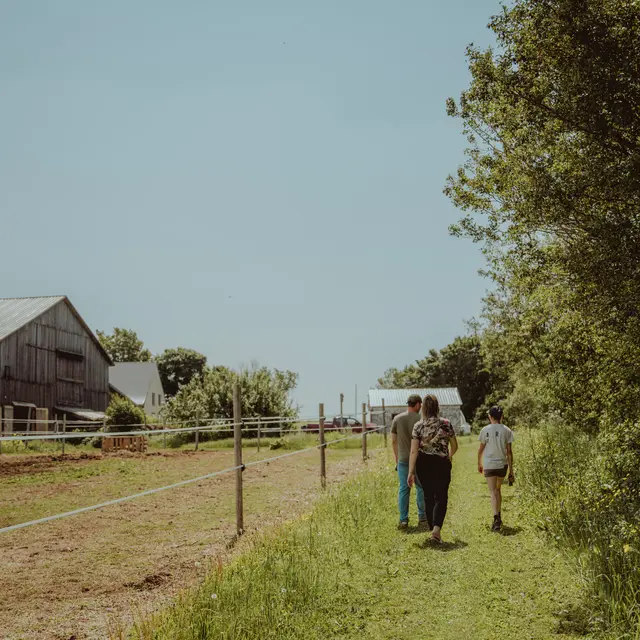 Domaine Arvi
