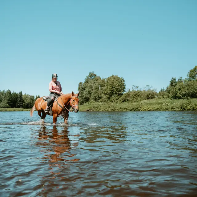 Balade à cheval