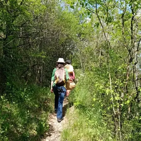 Apéro nature à Sébazac