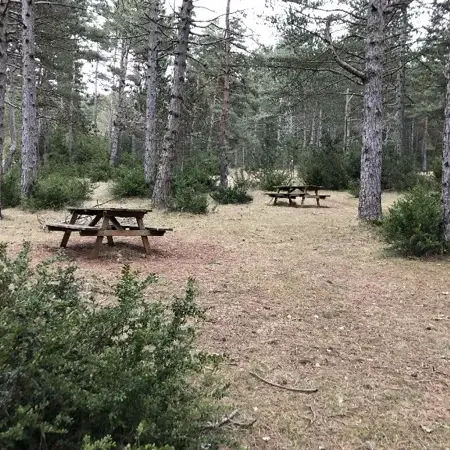 Aire du Causse Noir