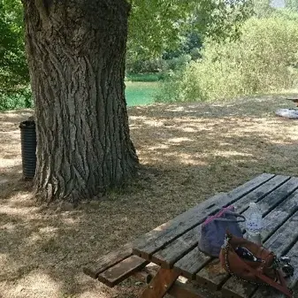 Aire de pique-nique de Mostuéjouls