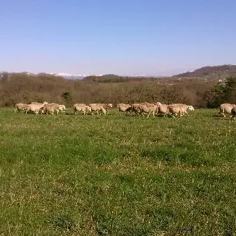 Ferme de Mayrinhac